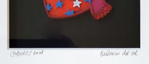 Clemens Briels - Bailarin del Sol | Reliëf van beschilderd kunsthars kopen? Bied vanaf 95!