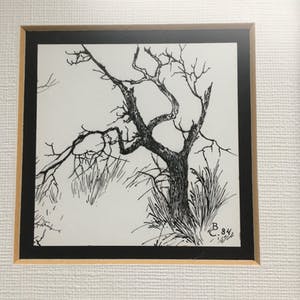 Niet of onleesbaar gesigneerd - Boom alleen. kopen? Bied vanaf 1!