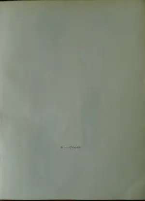 Kees van Dongen - 'Croquis', pochoirdruk. kopen? Bied vanaf 275!