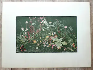 Wim Schuhmacher - Litho: Stilleven: Bloemen, vlinders en insecten kopen? Bied vanaf 20!