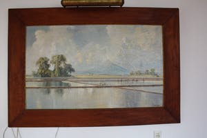 Ernest Dezentje - DE elementen, vulkaan, sawa en palmboom kopen? Bied vanaf 135!