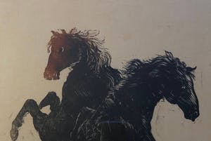 Rein Snapper - Steigerende paarden kopen? Bied vanaf 20!