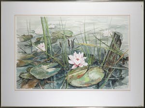 Arie Kuypers - Aquarel, Waterlelies - Ingelijst (Groot) kopen? Bied vanaf 120!