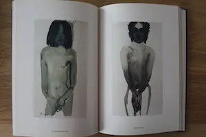 Marlene Dumas - boek: wet dreams kopen? Bied vanaf 45!