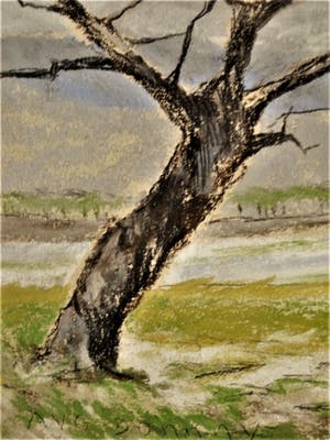 Auguste Donnay - 19e eeuws Belgisch impressionist - aan de oevers van de Maas - fraai gelijst kopen? Bied vanaf 89!