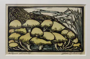 Jan Schonk - Z.t. (honingzwammen) kopen? Bied vanaf 85!