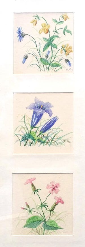 Niet of onleesbaar gesigneerd - Aquarel - lot van 3 x 3 bloemtekeningen kopen? Bied vanaf 1!
