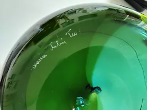 Tapio Wirkkala - Geblazen glazen kom met overlappende spiralen kopen? Bied vanaf 400!