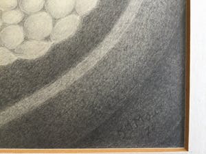 Sjaak Mous - Mysterie van de bevruchting | unieke potloodtekening (1974) - ingelijst kopen? Bied vanaf 17!