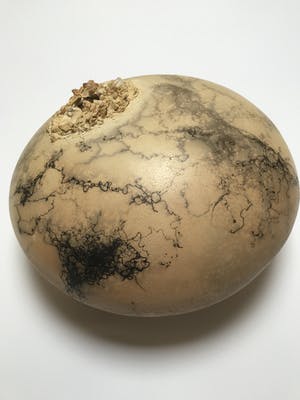 Helen Kolijn - Geen titel kopen? Bied vanaf 25!