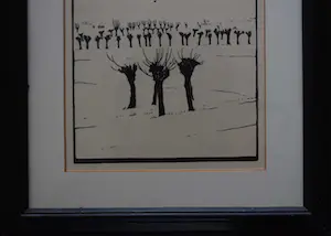 Jan Wittenberg - houtgravure - Knotwilgen kopen? Bied vanaf 110!