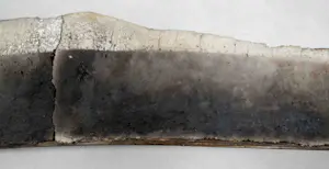 Willy van Blokland - geen titel kopen? Bied vanaf 25!