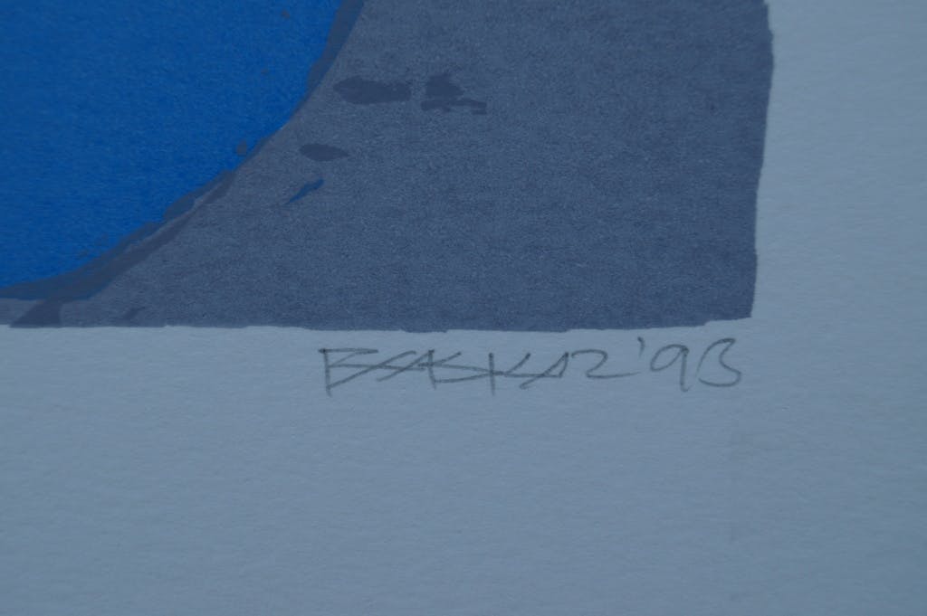 Bhaskar Hande - Bhaskar Handé - gesigneerde zeefdruk - 1993 kopen? Bied vanaf 15!