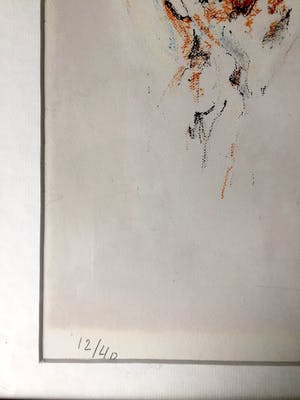 Frits Klein - Circuspaarden - Lithografie, Prachtig Ingelijst kopen? Bied vanaf 69!