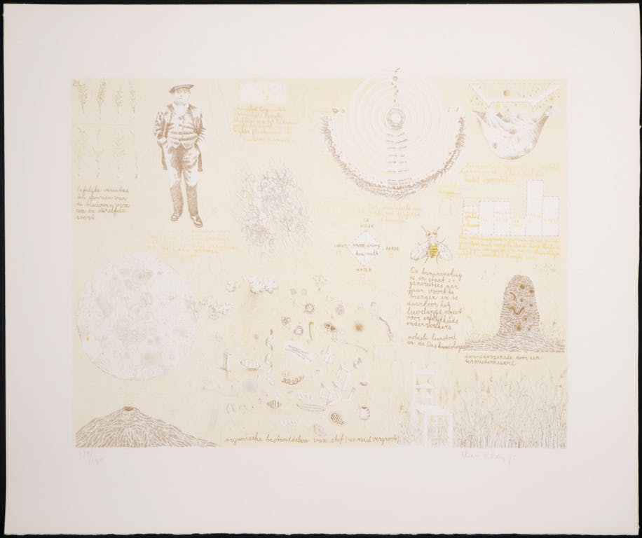 Theo Kley - Theo Kley: Litho, De bananenvlieg kopen? Bied vanaf 1!