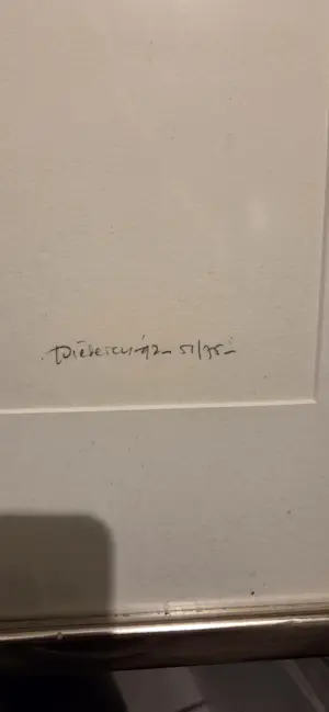 Jef Diederen - De Maan kopen? Bied vanaf 25!