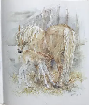 Piet Klaasse - Paarden, proefdrukken offsetlitho, 2-zijdig bedrukt, gesigneerd in druk kopen? Bied vanaf 25!