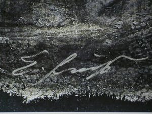 Ernst Fuchs - " Vorhang auf " - Giclée op linnen 2012 - handgesigneerd - 0plage 300 kopen? Bied vanaf 99!