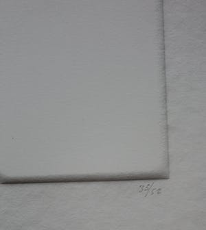 Harry van Kuyk - Reliëfdruk, S (uit het Groot Abecedarium) - 1973 kopen? Bied vanaf 150!