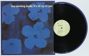 Andy Warhol - The Darling Buds – It's All Up To You - Ingelijst kopen? Bied vanaf 1!