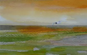 Franklin Meijer - Friese Waddenkust kopen? Bied vanaf 59!