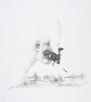 Peter Vos - Litho, Schiereiland Melancholie kopen? Bied vanaf 70!