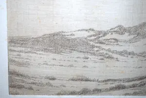 Niet of onleesbaar gesigneerd - jeneverbessen in duinlandschap - fraai uitgewerkte ets ca. 1900 kopen? Bied vanaf 1!