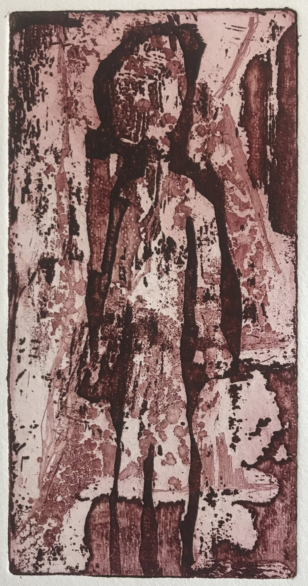 Fenny van der Wal-Timmerman (1951)