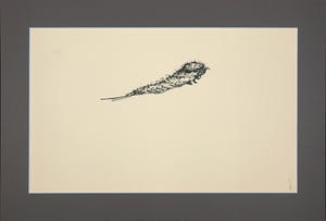 Melle Oldeboerrigter - Inkttekening op papier, Zonder titel kopen? Bied vanaf 1!