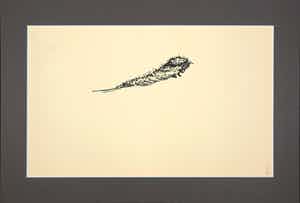 Melle Oldeboerrigter - Inkttekening op papier, Zonder titel verkocht voor € 1!