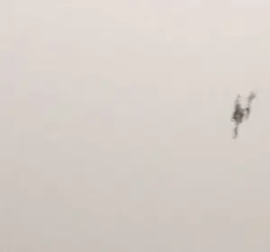 Cyril Lixenberg - Zeefdruk op dibond, Geometrische compositie kopen? Bied vanaf 1!