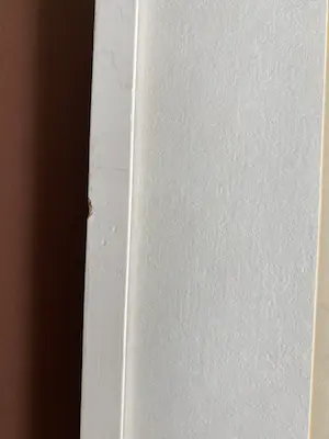 Sonja Noppen - Drie broeders kopen? Bied vanaf 1!