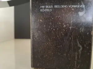 Hedda Willem Buijs - Veerkracht kopen? Bied vanaf 110!