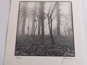 Buy Ralph Janowski - zonder titel? Bid from 20!