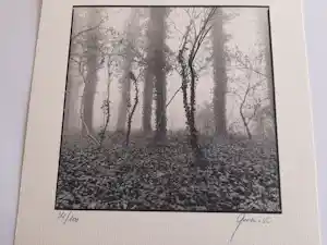 Ralph Janowski - zonder titel kaufen? Bieten Sie von 20!