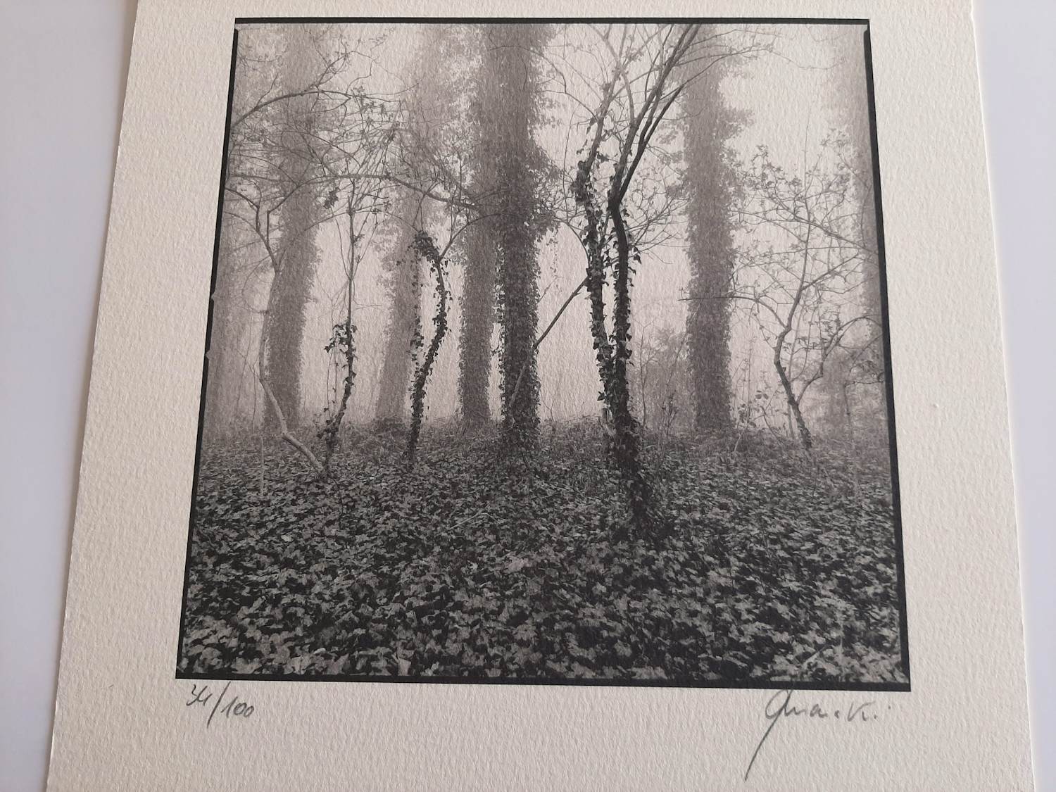 Ralph Janowski - zonder titel kopen? Bied vanaf 25!