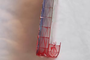 Fred Michiels - Zoo animals have been known to die from stares (3 flamingo's) kopen? Bied vanaf 150!