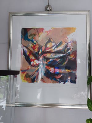 Paul de Vries - Roos kahului kopen? Bied vanaf 200!