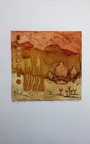 Jan Montyn - kleurenets - 1999 - oplage I/II HC kopen? Bied vanaf 75!