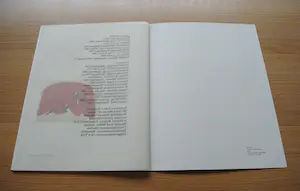 Lei Molin - Bijzondere uitgave met litho kopen? Bied vanaf 35!
