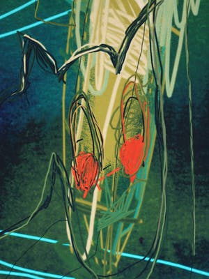 Arturo - Giclée , Sprinkhaan , abstract en kleurrijk – 70 x 70 cm kopen? Bied vanaf 30!
