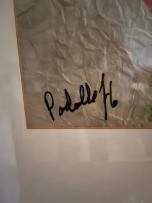 Mike Podulke - bloemen pracht kopen? Bied vanaf 30!