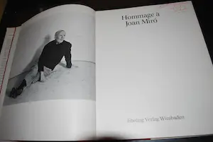 Joan Miro - grote kleurenlitho (31x47 cm) in het boek Hommage á Joan Miro (1976) kopen? Bied vanaf 125!