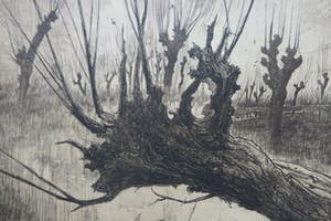 Leon Senf - Landschap met knotwilgen aan het water. kopen? Bied vanaf 20!