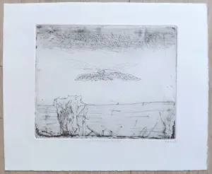 Co Westerik - Vogel boven water, ets kopen? Bied vanaf 195!