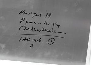 Arthur Martin - Pigeons in the sky / NYC '88 kopen? Bied vanaf 50!