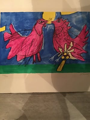 Corneille - Twee kippen ,hanen kopen? Bied vanaf 30!