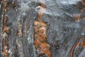 Niet of onleesbaar gesigneerd - Zeer Fraai uitgevoerde Stenen(Mineraal) Kunstenaars Paarden Sculptuur kopen? Bied vanaf 1!