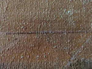 Niet of onleesbaar gesigneerd - Spelende katten kopen? Bied vanaf 10!