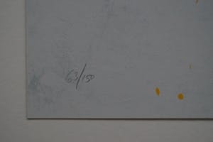 Cole Morgan - Compass North kopen? Bied vanaf 225!